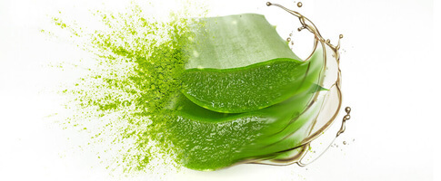 aloevera